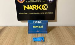 Ordu'da uyuşturucu operasyonu: 2 kişi tutuklandı