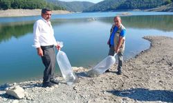 Orhaneli'de Sazan Yavruları Su İle Buluştu