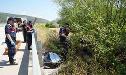 Otomobilin çarptığı bisikletli, ağacın altında cansız bulundu; sürücü yakalandı