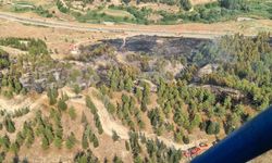 Pamukkale'deki orman yangını hızlı müdahaleyle kontrol altına alındı