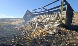 Patates yüklü kamyon yangını 100 hektar alanı harabeye çevirdi