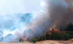 Pütürge'de orman yangınına havadan müdahale devam ediyor