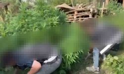 Sakarya'da Uyuşturucu Baskını: İki Kişi Yakalandı
