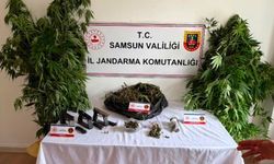 Salıpazarı'nda uyuşturucu baskını: 1 kilo 215 gram esrar ve 114 kök kenevir ele geçirildi