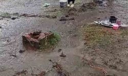 Samsun'da fındık işçilerini etkileyen şiddetli yağışlar