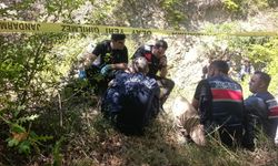 Samsun'da Ormanda Koyun Otlatan Adamın Cansız Bedeni Bulundu