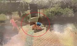 Samsun'da pitbull saldırısı: Küçük kızı yere savurdu, poodle ağır yaralandı