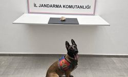 Şanlıurfa'da Jandarma Uyuşturucu Operasyonuyla Göz Açtırmıyor