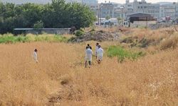 Şanlıurfa'da Tarla İçinde Erkek Cesedi Bulundu