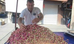 Şanlıurfa'da yeni fıstık hasadı tezgahlarda yerini aldı