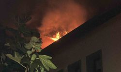 Sapanca'da villa yangını: İtfaiye ekipleri hızlıca müdahale etti