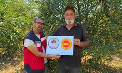 Şaphane Vişnesi için coğrafi işaret tescili devam ediyor