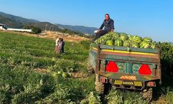 Sarıgöl'de Üretici, Doğrudan Satışla Kazancını Artırıyor