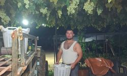 Sarıgöl'de Üzüm Hasadı İçin Gece Çalışmaları