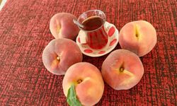 Şeftali fiyatları bir günde yarı fiyatına düştü