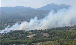 Seydikemer'de orman yangını paniği