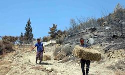 Seydikemer'de Yangın Sonrası Destek Hızla Geliyor