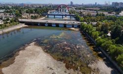 Seyhan Nehri'nde Sular Azaldı, Kirlilik Sorunu Gündemde