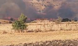 Seyitgazi'de Tarım Arazisinde Yangın Alarmı