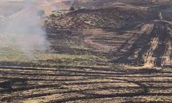 Siirt'te anız yangını meyve bahçesini tehdit etti, 100 ağaç hasar gördü