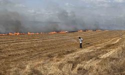 Silivri'de tarla yangınına hava destekli müdahale