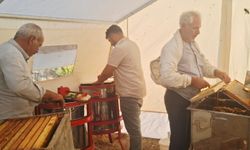 Sincik'te arıcılar bal hasadına geçiş yaptı