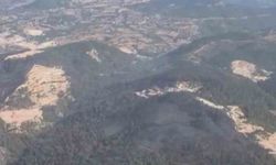 Sındırgı'daki Orman Dışı Yangın Kontrol Altına Alındı