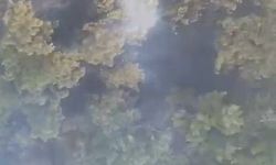 Sındırgı'daki orman yangını 20 saat sürdü