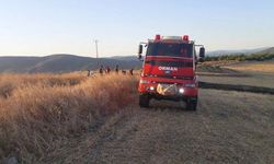 Sinop'ta anız yangını hızlıca kontrol altına alındı