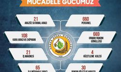 Sinop'ta orman yangınlarına karşı seferberlik