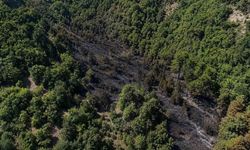 Sinop'taki orman yangını başarıyla söndürüldü