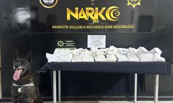 Şırnak'ta 6,5 milyonluk kaçak malzeme operasyonu: 1 tutuklama