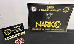 Şırnak'ta narkotik ve asayiş suçlarına yönelik geniş çaplı operasyon