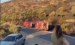 Söke'de orman yangını söndürüldü