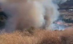 Süleymanpaşa'da yangın 80 dekar alanı harap etti