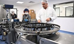 Talya global pazarda büyüme hedeflerini genişletiyor