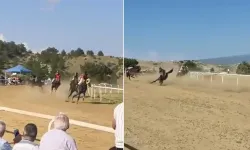 Sarımsak Festivali’nde korkunç kaza! 2 at öldü, jokey yaralandı