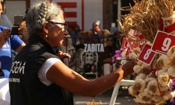 Taşköprü sarımsağı festivali renkli görüntülerle doldu: En iyi sarımsak 80 demet arasından seçildi