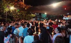 Tatlısu'da Çilek ve Böğürtlen Festivali ile Eğlence Dorukta