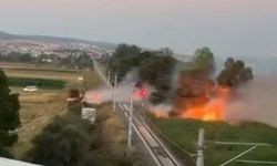 Tavşanlı'da arazi yangını hızlıca kontrol altına alındı