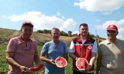 Tekirdağ Karpuzunda Hasat Zamanı