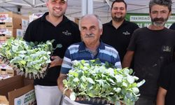 Tekirdağ'da Kışlık Sebze Fidesi Desteği: 104 Bin Fide Dağıtımı Başladı