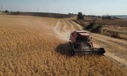 Tekirdağ'da Sertifikalı Nohut Tohumu Hasadı Yapıldı