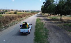 Tekirdağ'da Vektörlerle Mücadele Çalışmaları Devam Ediyor