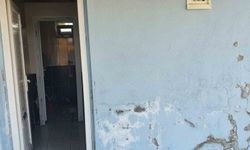 Tepebaşı Doğal Yaşam Parkı'ndaki tuvaletler yetersiz kalıyor