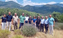 Tıbbi ve Aromatik Bitkiler Bahçeleri İncelendi