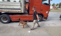 Tırın gizli bölümünde 7 kilo uyuşturucu bulundu