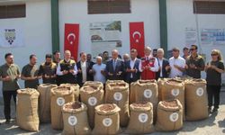 TMO Genel Müdürü Güldal: 'Bu yıl fındık alımları geçen yılki mahsulleri kapsamıyor'