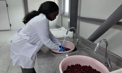 TOGÜ Çiftlik Tarım Kurutma Tesisi, Eğitim ve Üretimi Birleştiriyor