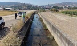 Tokat'ta haşereyle mücadelede ilaçlama seferberliği sürüyor